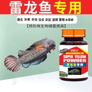 Ray Arowana Medicine Meng Eye Medicine Arowana Special Medicine Meng Eye Universal Medicine Intestin