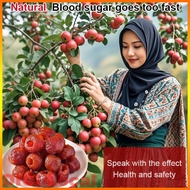 Halal Dried Fruit Buah Hawthorn Berongga Hawthorn Snack Buah Hawthorn Seedless Hawthorn 100g 空心山楂果干 
