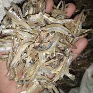 Ikan bilis kopek Terengganu 1kg