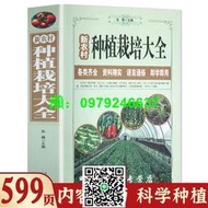 現貨新農村種植栽培大全黃瓜辣椒茄子番茄韭菜大蔥大白菜馬鈴薯種植病蟲害大全塑料大棚栽培技術農作物種地書籍