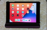 iPad mini 4