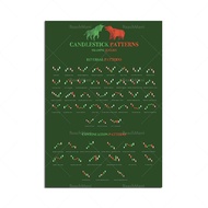 Day Trader Chart Pattern Candlestick Pattern Wall Street Forex Trading Motivational Poster 69F 0706