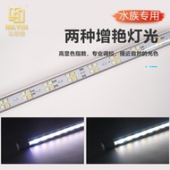 10% Cashback Mayin arowana magic colour BLUE/GOLD/ULTRA THIN UV Print New Style Dual Mode BLUE White