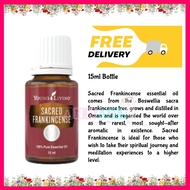 Young Living Pure Essential Oil - 15 ml Sacred Frankincense from Boswellia sacra frankincense tree