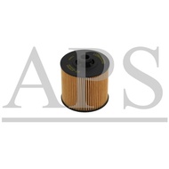(APM) PROTON X50 OIL FILTER (1056022300)(AT-E2230)