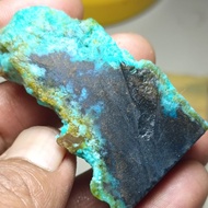 BACAN DOKO/MAJIKO/PALAMEA/GULAU 100%natural 49x29x12