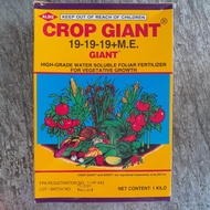 CROP GIANT 19-19-19 FOLIAR FERTILIZER (1 KILO) by ALDIZ INC