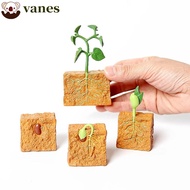 VANES Simulation Life Cycle Science Toys Educational Toys Action Figures Collection for Children Plant Growth Cycle Model