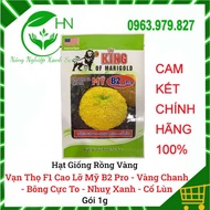 Hạt Giống Vạn Thọ Mỹ F1 Cao Lỡ Vàng Chanh Super B2 Rồng Vàng - Bông To - Nhụy Xanh - Cổ Lùn