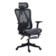 INPLAY EF100-G Ergonomic Chair Adjustable Breathable Design Long Sitting Comfort With Foot Rest Back