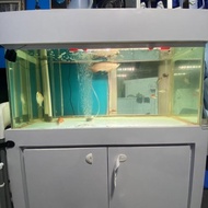 Kabinet Aquarium + Ikan Arwana Golden Red 35 cm