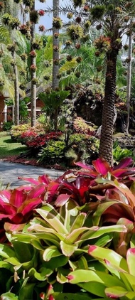 Coco Palm Beach Resort &amp; Spa