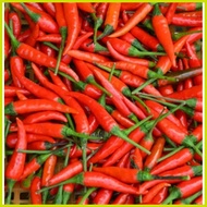 ● ∪ ┘ ➯ SILING LABUYO PLANT SEEDS