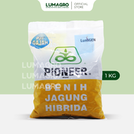 Benih Jagung Pioneer P27 Lumigen Gajah P40 Famili P21 Bison P32 Singa 1kg Bibit Unggul Hibrida