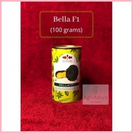 ☂ ۩ Bella F1 Hybrid Kalabasa Seeds 100grams (East-west Seed)