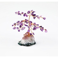 Amethyst Lucky Tree 10x8x8cm