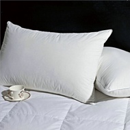 {DFSGDFRG} Zhidao Five star hotels down pillows white duck down goose feather pillow cores soft pill