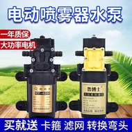 [Hot-selling Style] 12V Agricultural Electric Sprayer Water Pump Diaphragm Pump Smart High Pressure 