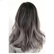 BREMOD 8.16 ASH GRAY HAIR COLOR - SET - WITH OXIDIZING