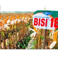 New Benih jagung hibrida Bisi 18 isi 1kg jagung bisi18 bibit jagung