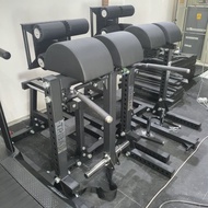 Hybrid Glute Ham Developer (GHD)