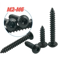 M2m3m4m5m6 Grade 8.8 Black Hexagon Socket Self-Tapping Screw Furniture Screw