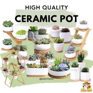 Plant Talks Ceramic Plant Pot for Succulent and Cactus Small Plant Pot White Ceramic Pot