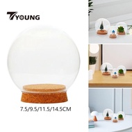 [In Stock] with Base Valentine's Day Decoration Glass Cloche Ball Jar Dome