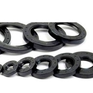 Oil Pump Seal 12x21 Den GN125, GZ125, EN125, HJ125, TNT15 TNT 15 ...-NTS
