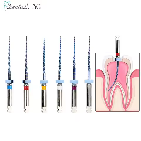 6pcs/Box Dental Heat Activated Canal Root Files SX-F3 21mm Dentist Tools Can Bend for Preparing Root