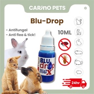 [24HR SHIP] CARINO PETS BLU-DROP 10ML Anti Flea Anti Fungus Cat Dog Rabbit Guinea Pig Kucing Anti Ku