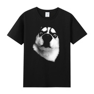 Agitation Pure Cotton Round Neck Short Sleeved T-Shirt For Men, Haha Shiqi God Annoying Dog Funny Em