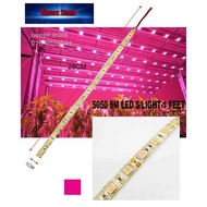 5050 28 CM LED S/LIGHT-1 FEET PINK