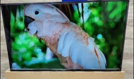 SONY KD-43X77L 43吋 4K Ultra HD 智能電視
