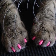 Pet Nail Cover Anti-Scratch Cover Dog Cat Nail Cover Cat Dog Paw Cover Anti-Cat Scratch Teddy Nail C