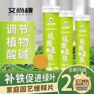 【樂樂屋】植物硫酸亞鐵營養片預防黃葉緩釋肥梔子花茉莉花園藝花卉肥料
