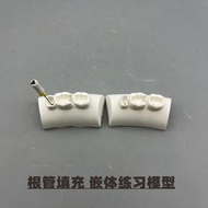 Dental Restoration Model Resin Block for Practice Root Canal Filling Inlay Three Teeth Practice ZN2O