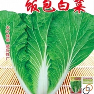 Rice Cabbage Seeds Cabbage Seeds Northeast Big Leaf Cabbage Seeds Vegetable Seeds Packaging Cabbage 