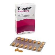 Tebonin Forte Tablet 120mg 30s