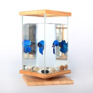 Lovinland Pet (13*12*19.5cm) Aquarium Tanks Mini Desktop Small Fish Tank Super White Fish Tank Aquarium Betta Fish Tank Primary Color Rotating Square Tank