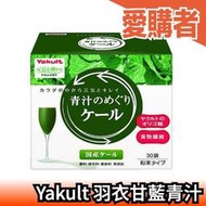 日本 國產 Yakult 青汁的循環 羽衣甘藍青汁 大麥若葉 30入 食物纖維 青汁果汁 蔬菜【愛購者】