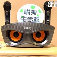 PROMO- MIC KARAOKE BLUETOOTH SDRD 306PLUS 2MIC LCD POWER 20W MICROPHONE SD306