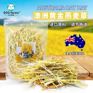 Australia Eco Forest Golden Oat Hay 500g 牧光森林 澳麦 澳洲黄金燕麦草 Rabbit Food Guinea Pig Chinchilla Timothy H