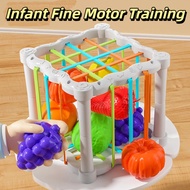 Baby Fun Sessele Toys 6 Months-1 Years Old Baby Finger Fine Action Training Early Education Educatio