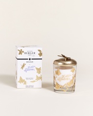 Maison Berger Paris Lolita Lempicka Scented Candle 240g เทียนหอมฝรั่งเศส บ้านหอม น้ำหอมฝรั่งเศส เทีย