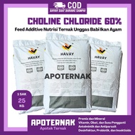 Choline CHLORIDE HAVAY 25 Kg - Feed Additive Nutrition for Poultry Pigs Fish Chickens