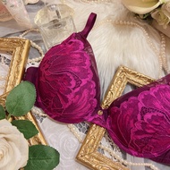 (0483)/Authentic Brand Underwear From Japan (32DD/E70/ Chest 35-37)