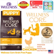 Wellness Puppy Core Grain Free