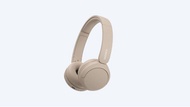SONY WH-CH520 Wireless Headphones หูฟังบูลธูท ไร้สาย