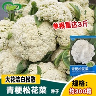 Huanai Green Stem Pine Cauliflower Seeds Large Pine Cauliflower White Cauliflower Seeds Vegetable Ga